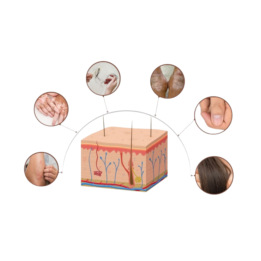 Skin, Hair & Nail Care